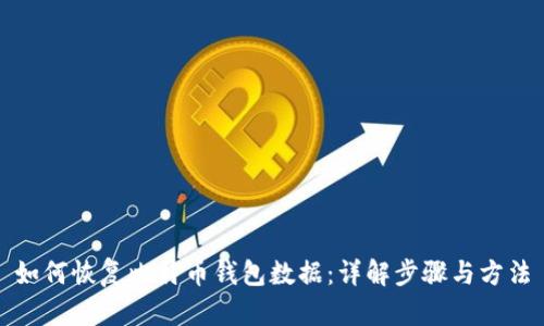 如何恢复比特币钱包数据：详解步骤与方法
